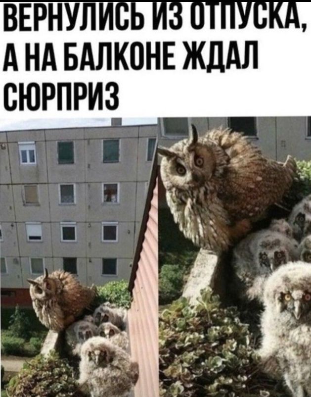 А НА БАЛКПНЕ ЖДАЛ СЮРПРИЗ 11