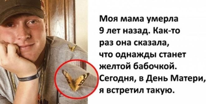 Моя мама умерла 9 лет назад Както раз она сказала ЧТО Однажды станет желтой бабочкой Сегодня в день Матери я встретил такую