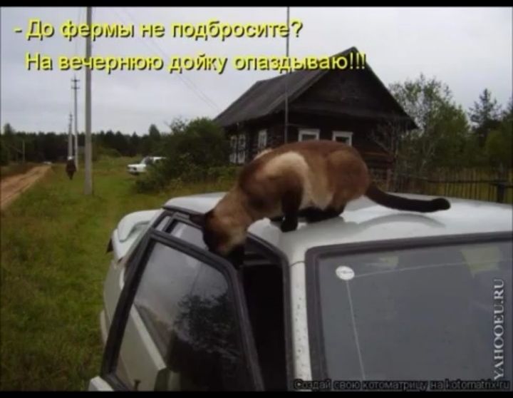 ПіЕ КГ