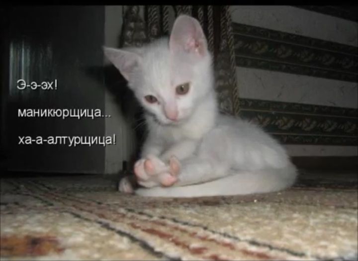 51 маникюрщица_ ха а алтурщицЫ