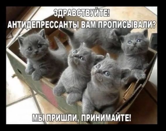 Ч идпуийимдйты