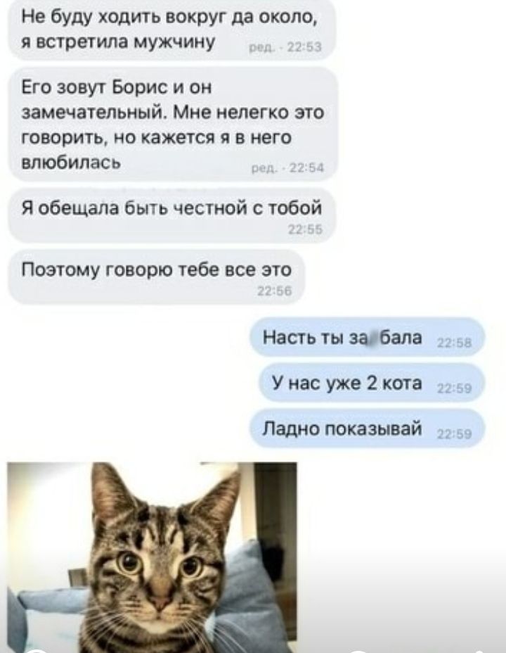 Не буду ходить вокруг да около я встретила мужчину Его зовут Борис и он замечательный Мне нелегко зто говорить НО кажется Я В НЕГО влюбилась Я обещала быть честной с тобой Поэтому говорю тебе все это Насть ты шбапа Унас уже2кота 59 Ладно показывай 1 517