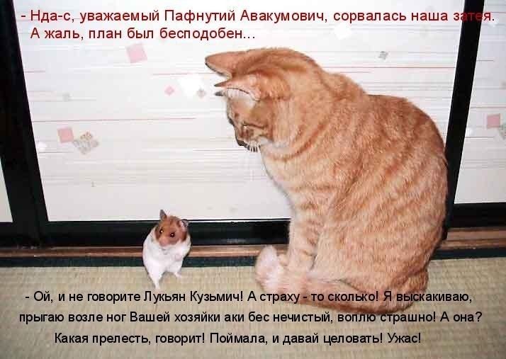 Нда с уважаемый Пафнутий Авакумович сорвалась наша 3 А жаль ппан был бесподобен прыгаю возле ног Вашей хозяйки аки бес нечистый во р шноЬА Квкая прелесть говорит Поймали и давай целовать Ужийідд __