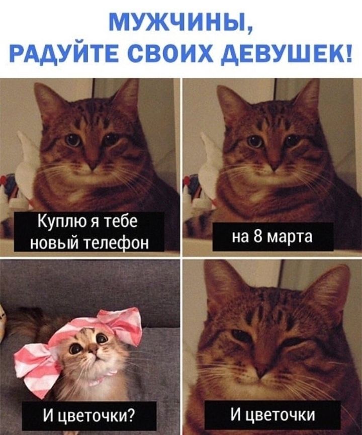 Куплю я тебе новый телефон д ____а 8 марта цветочки И цветочки
