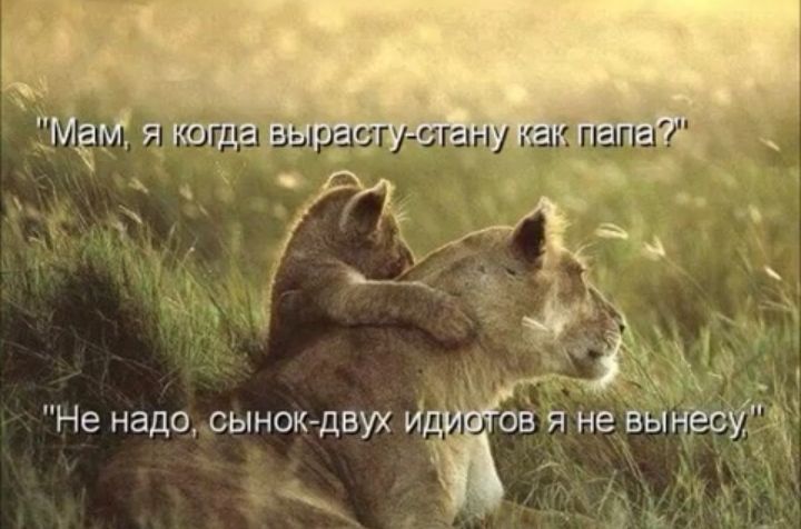 Не надосынокдвух И _