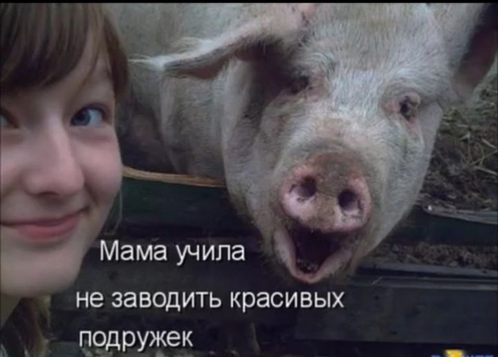 Мама учила не заводить красивых цсэдружек