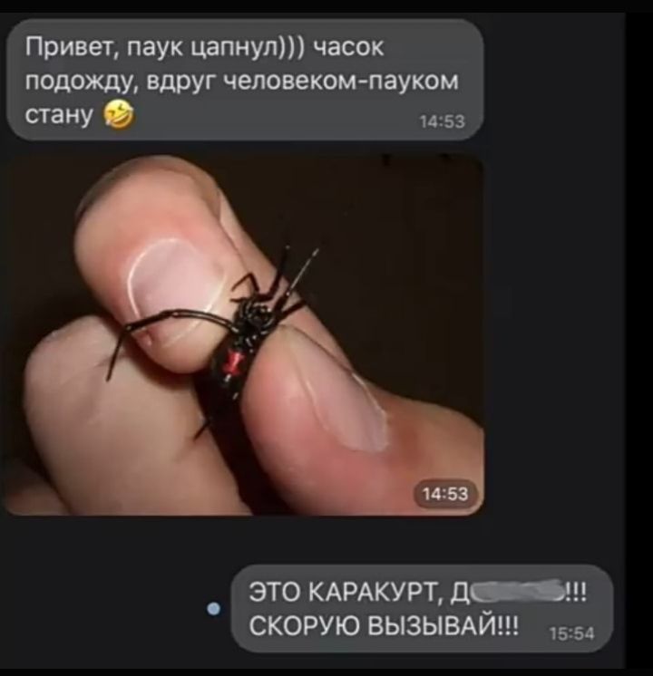 Привет паук цапнуп часок подожду вдруг чеповекомпауком стану 1453 это д_ш скорую вызыыйш