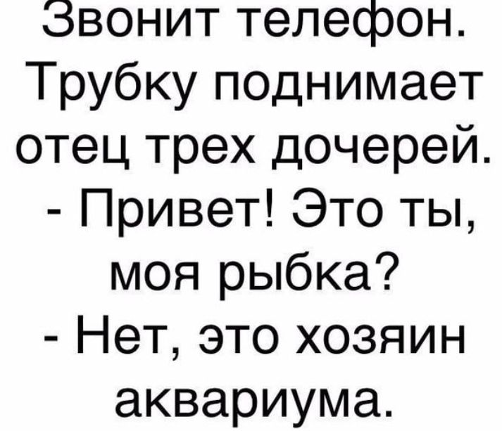 Звонит телефон Трубку поднимает отец трех дочерей Привет Это ты моя рыбка Нет это хозяин аквариума