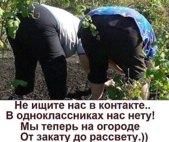 Не ищите нас в контакте В одноклассниках нас нету Мы теперь на огороде