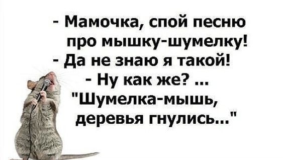 Мамочка спой песню про мышку шумелку да не знаю я такой Ну как же Шумелка мышь деревья гнупись