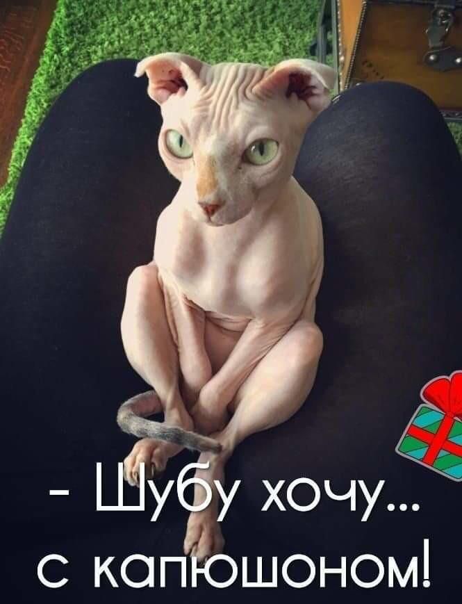 с копЁошоном