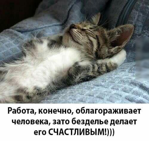 _ Работа конечно облагораживает человека зато безделье делает его СЧАСТЛИВЫМ
