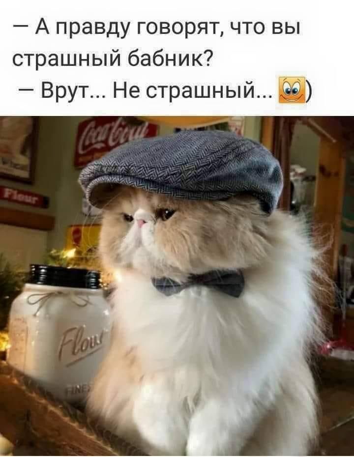 А правду говорят что вы страшный бабник Врут Не страшный