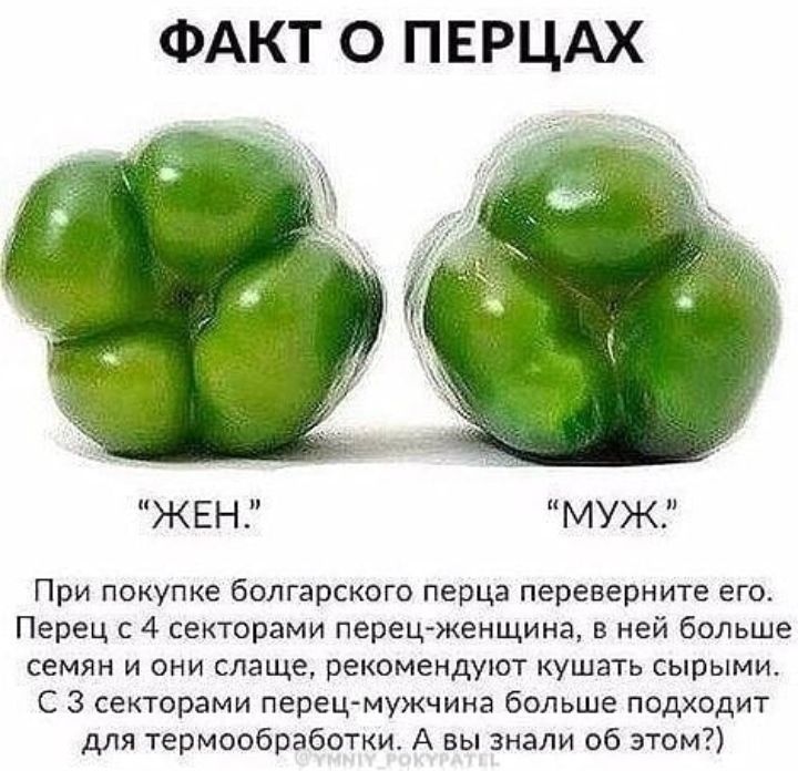 ФАКТ О ПЕРЦАХ ЖЕН МУЖ При покупке болгарского перца переверните его Перец с 4 секторами перецженщина в ней больше семян и они слаще рекомендуют кушать сырыми С 3 секторами перец мужчина больше подходит для термообработки А вы знали об этом