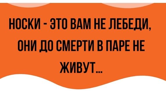 НОСКИ ЭТО ВАМ НЕ ЛЕБЕДИ ОНИ ДП СМЕРТИ В ПАРЕ НЕ ЖИВУТ Ц