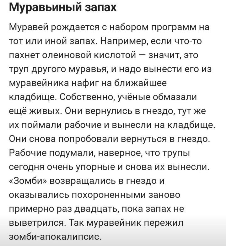 Муравьиный запах Муравей рождается с набором программ на тот или иной запах Например если что то пахнет опеиновой кислотой значит это труп другого муравья и надо вынести его из муравейника нафиг на ближайшее кладбище Собственно учёные обмазали ещё живых Они вернулись в гнездо тут же их поймали рабочие и вынесли на кладбище Они снова попробовали вернуться в гнездо Рабочие подумали наверное что труп