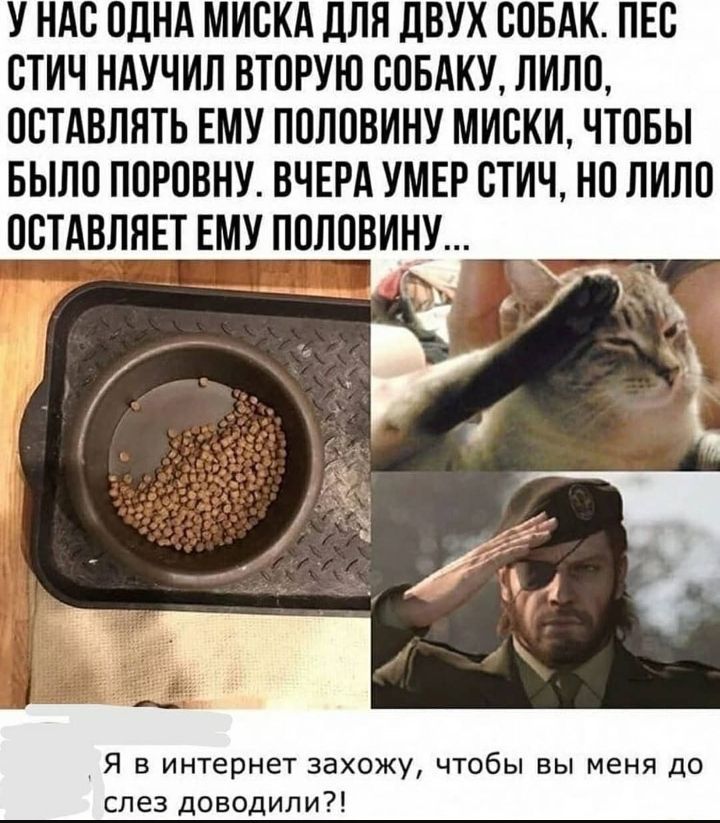 У НАО ОДНА МИОКА ЛПП ДВУХ СОБАК ПЕО ОТИЧ НАУЧИЛ ВТОРУЮ СОБАКУ ЛИЛО ОСТАВЛЯТЬ ЕМУ ПОЛОВИНУ МИОКИ ЧТОБЫ БЫЛО ПОРОВНУ ВЧЕРА УМЕР ОТИЧ НО ЛИЛО ООТАВЛЯЕТ ЕМУ ПОЛОВИ ну _ у Я в интернет захожу чтобы вы меня до слез доводили
