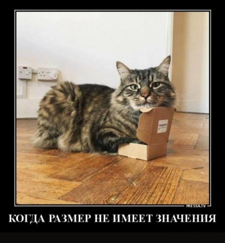 ц _ шимп К0 РЪС С Пй 3ПЧСППЯ
