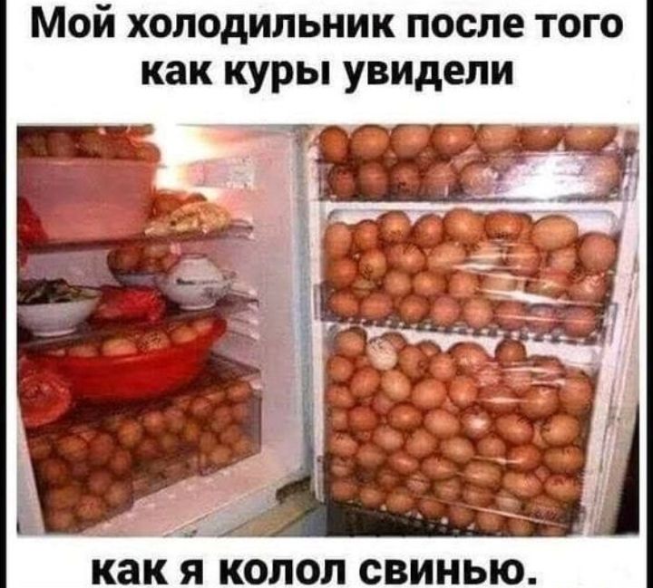 МОЙ ХОЛОДИЛЬНИК ПОСЛЕ ТОГО как куры увидели