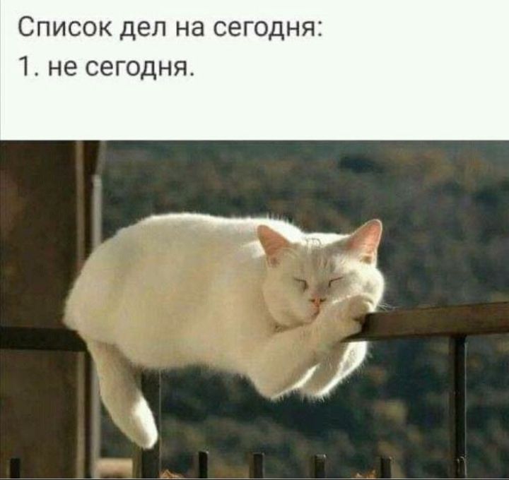 Список дел на сегодня 1 не сегодня