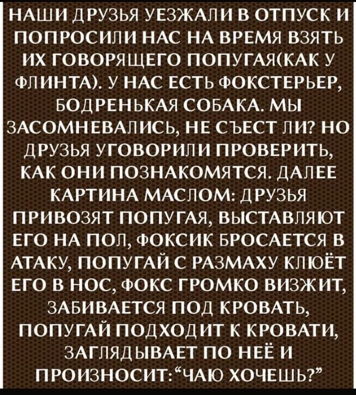 НАШИ друзья УЕЗЖАПИ в отпуск и попросили НАС НА время взять их говорящвго ПОПУГАЯКАК у ФЛИНТА у НАС есть ФОКСТЕРЬЕР вод РЕНЬКАЯ СОБАКА мы ЗАСОМНЕВАЛ ись НЕ съвст ли но друзья уговорили проверить КАК они ПОЗНАКОМЯТСЯ ДАЛЕЕ КАРТИНА МАСЛОМ друзья привозят ПОПУГАЯ высмвпяют ЕГО НА пол ФОКСИК БРОСАЕТСЯ в АТАКУ ПОПУГАЙ с РАЗМАХУ кп ЮЁТ его в нос ФОКС громко визжит ЗАБИВАЕТСЯ под КРОВАТЬ ПОПУГАЙ подходит