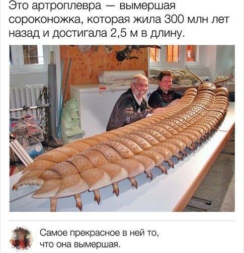 то артроплевра _ вымершая сороконожка которая жила 800 млн лет назад и Дости апа 25 м в длину Самое прекрасное в ней то что она вьцмершая