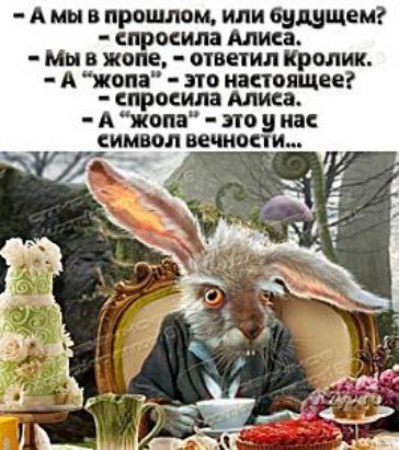А мы в принтом или будущем прмила Мии Мы в нише манил Кролик А КОПЭ 31 настоящее _ СПРОСМЗ МИЕЭ А жопа по у на _еимвоп венками