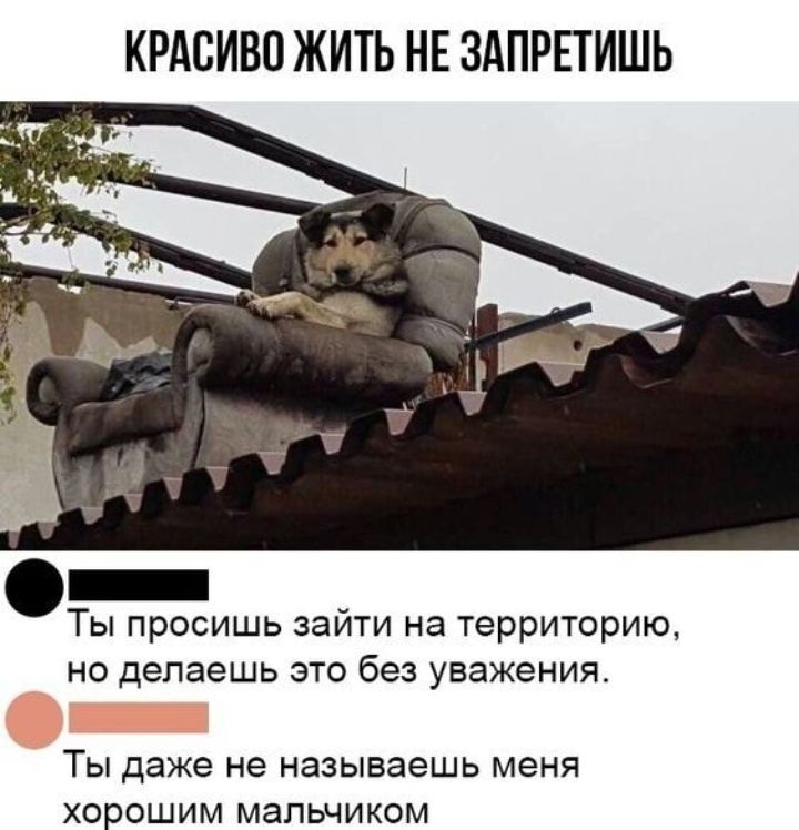 КРАСИВО ЖИТЬ НЕ ЗАПРЕТИШЬ Ты просишь зайти на территорию но делаешь это без уважения ТЫ Даже не называешь меня хорошим мальчиком