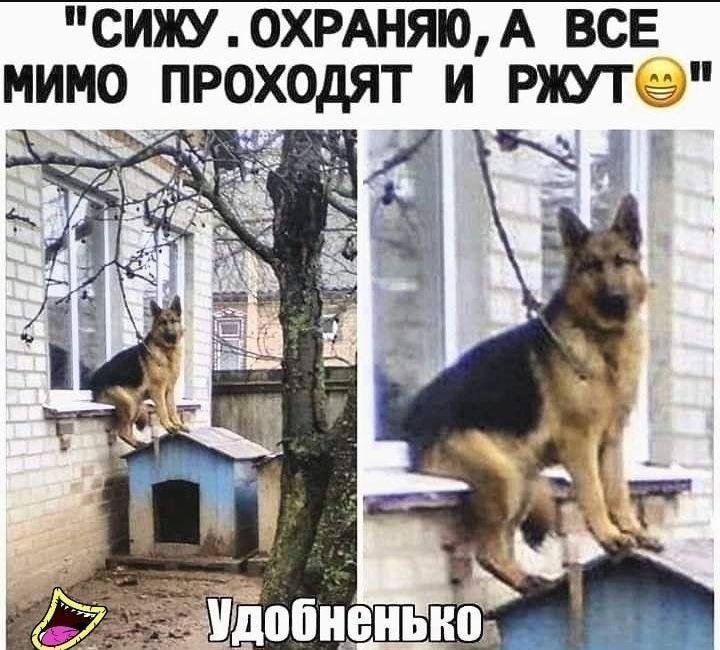 СИЖУ 0ХРАНЯ0 А ВСЕ МИМО ПРОХОДЯТ И РШТ