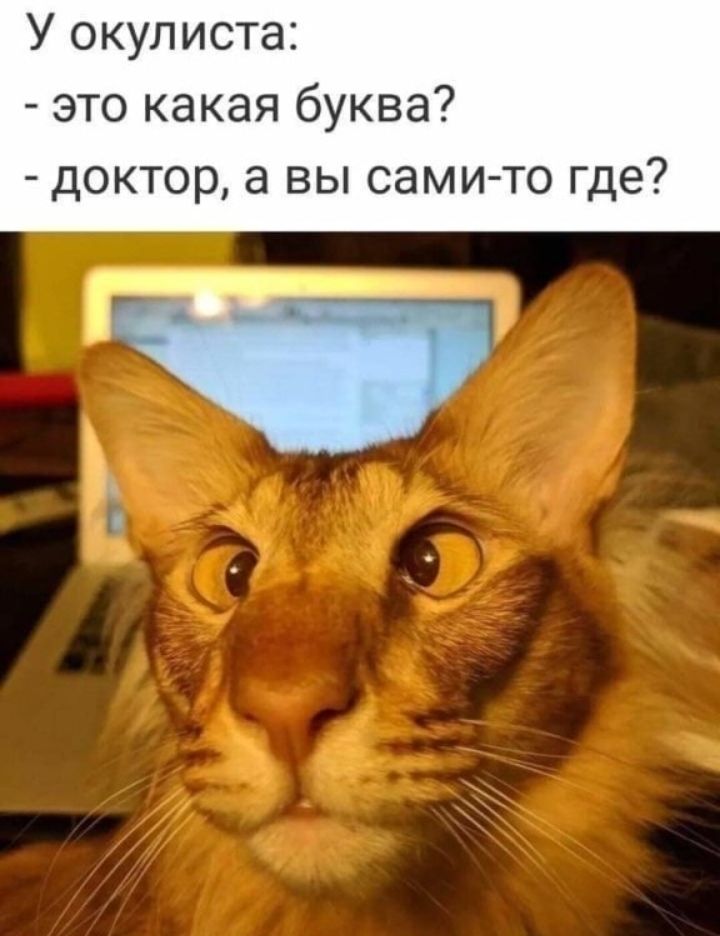 У окулиста это какая буква доктор а вы сами то где