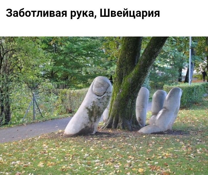 Заботливая рука Швейцария