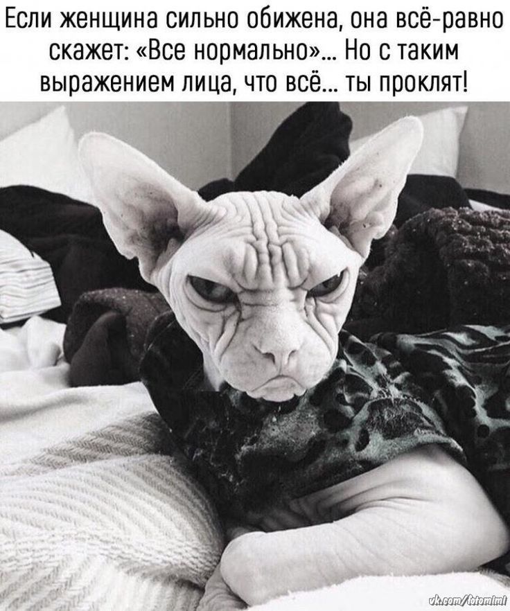 Если женщина сильно обижена она всё равно скажет Все нормально Но с таким выражением лица что всё ты проклят