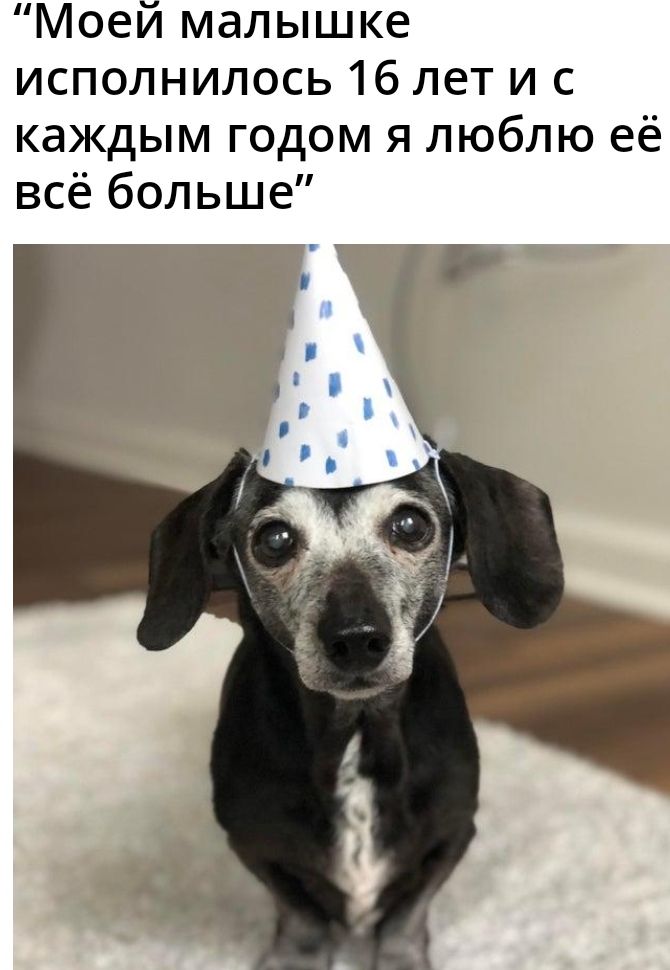 Моей малышке исполнилось 16 лет и с каждым годом я люблю её всё больше