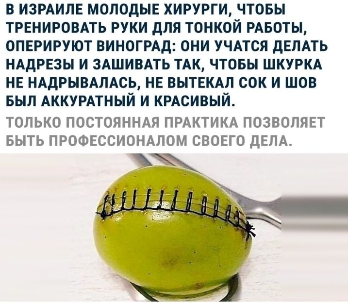 В ИЗРАИЛЕ МОЛОДЫЕ ХИРУРГИ ЧТОБЫ ТРЕНИРОВАТЬ РУКИ дЛЯ ТОНКОЙ РАБОТЫ ОПЕРИРУЮТ ВИНОГРАд ОНИ УЧАТСЯ дЕЛАТЬ НАДРЕЗЫ И ЗАШИВАТЬ ТАК ЧТОБЫ ШКУРКА НЕ НАДРЫВАЛАСЬ НЕ ВЫТЕКАЛ СОК И ШОВ БЫЛ АККУРАТНЫЙ И КРАСИВЫЙ ТОЛЬКО ПОСТОЯННАЯ ПРАКТИКА ПОЗВОЛЯЕТ БЫТЬ ПРОФЕССИОНАЛОМ СВОЕГО дЕЛА