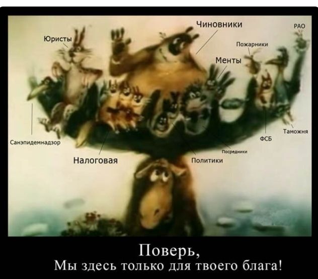 т Напогавая Поверь Мы здесь только для твоего блага