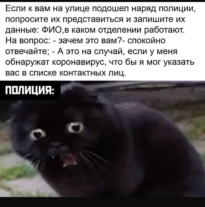 Если к вам на улице подошел наряд полиции попросите их представиться и запишите их данные ФИОв каком отделении работают На вопрос зачем это вам спокойно отвечайте А это на случай если у меня обнаружат коронавирус что бы я мог указать вас в списке контактных лиц ППЛИЦИЯ