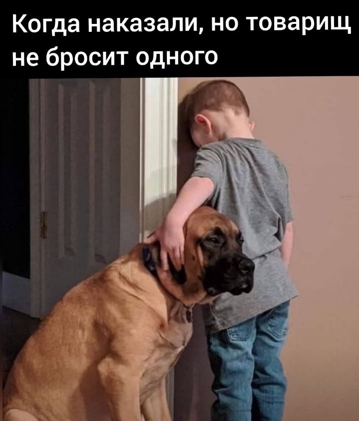 Когда наказали но товарищ не бросит одного