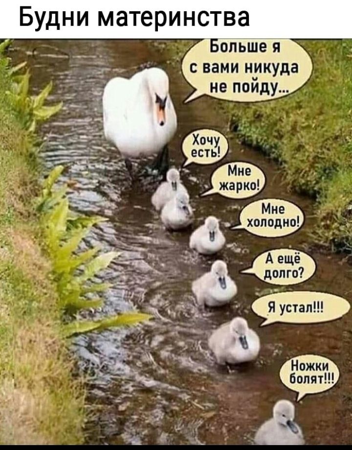 Будни материнства Большея вами никуда не пойду