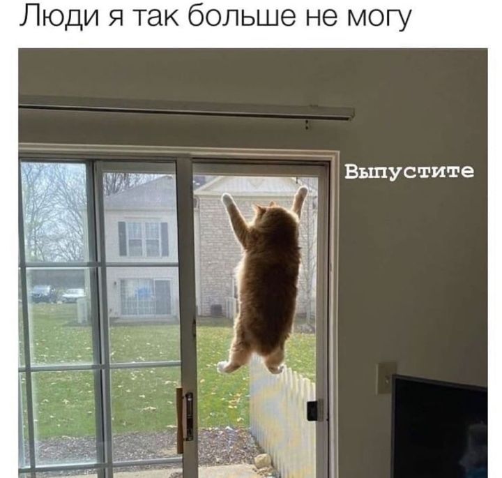 Люди я так больше не могу Выпустите