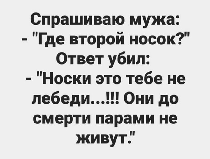 Спрашиваю мужа Где второй носок Ответ убил Носки это тебе не лебеди Они до смерти парами не живут