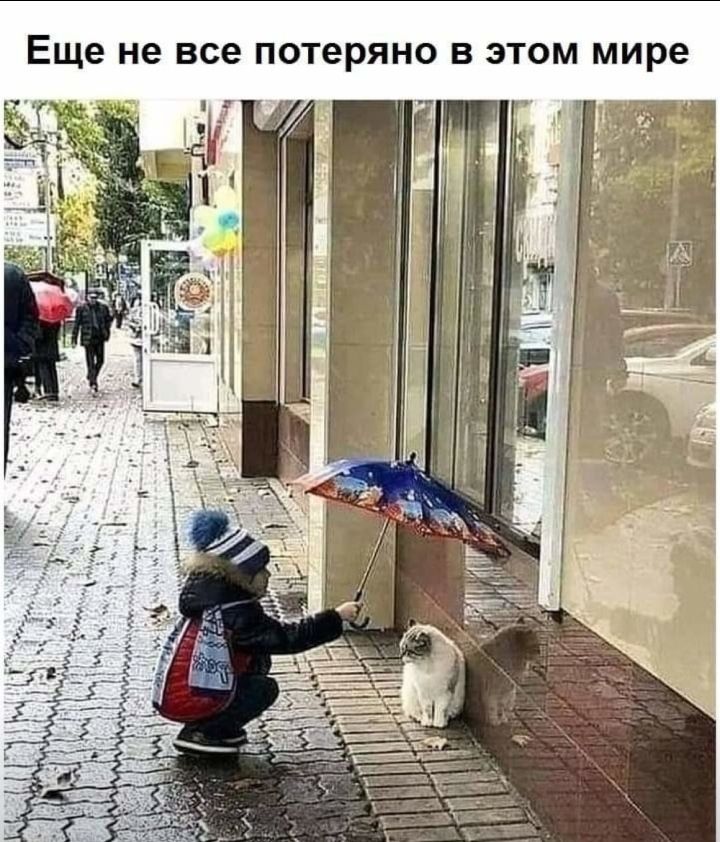 Еще не все потеряно В ЭТОМ мире