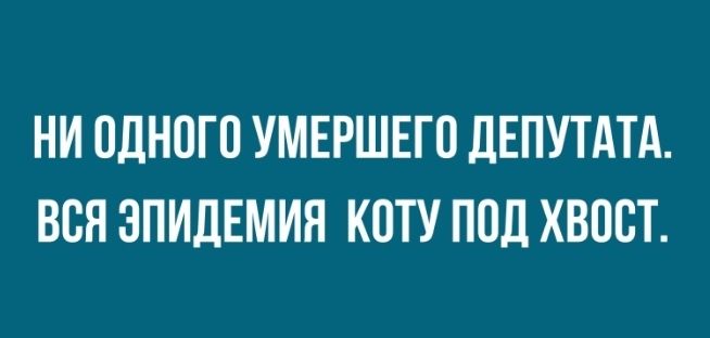 НИ ОДНОГО УМЕРШЕГО дЕПУТАТА ВСЯ ЗПИДЕМИН КОТУ ПОД ХВООТ