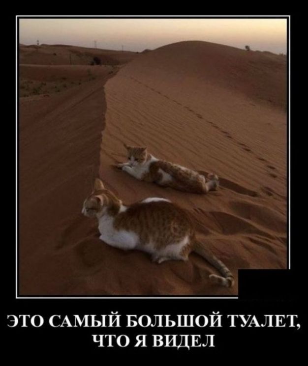 это САМЫЙ БОЛЬШОЙ ТУАЛЕТ что я ВИДЕЛ