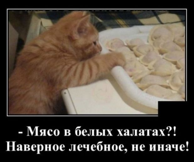 Мясо в белых халатах Наверное лечебное не иначе