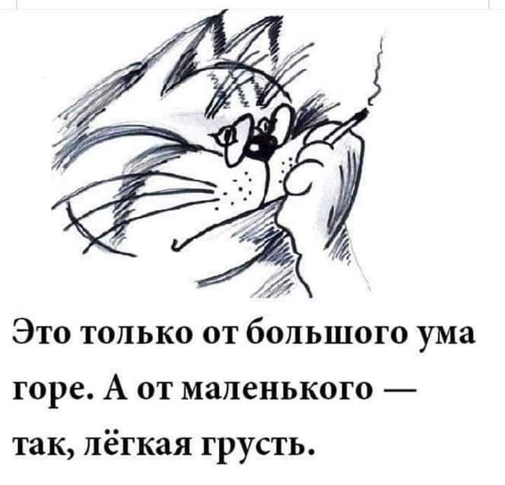Это только от большого ума горе А от маленького ТЗК ПёГКЗЯ ГРУСТЬ