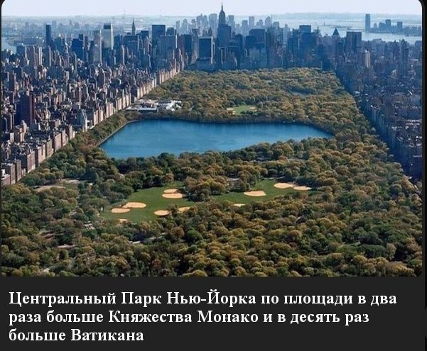 Центральный Парк Нью Йорка по площади в два раза больше Княжества Монако и в десять раз больше Ватикана