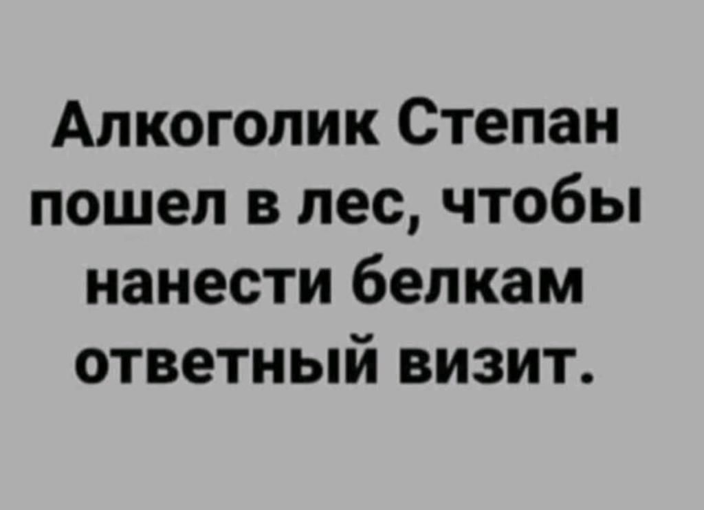 Алкоголик Степан пошел в лес чтобы нанести белкам ответный визит