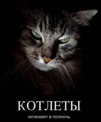 КОТЛЕТЫ по ш