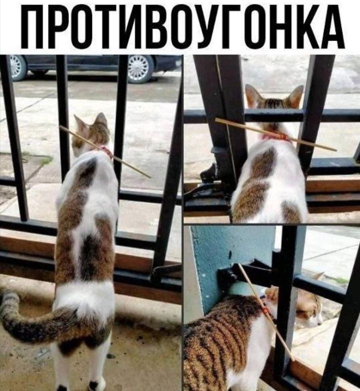 ИВГПНА _