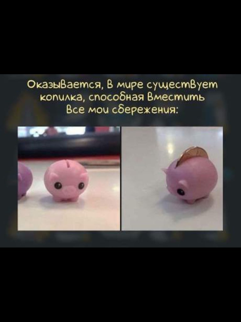 0казыВается В мире сущестВует котика способная Вместить Все мои сбережения